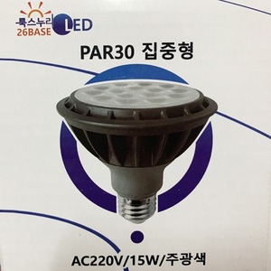 LED전구-PAR-30 15W(집중형)